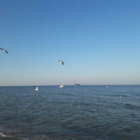 Kuestenwilla Fewo Usedom Zinnowitz Exterior foto