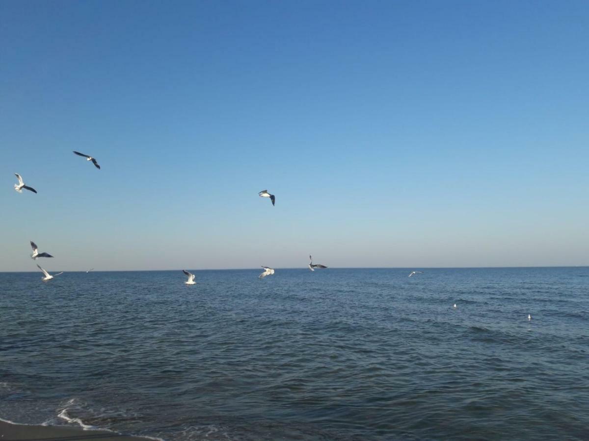 Kuestenwilla Fewo Usedom Zinnowitz Exterior foto